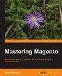 Mastering Magento - imagem: divulgação
